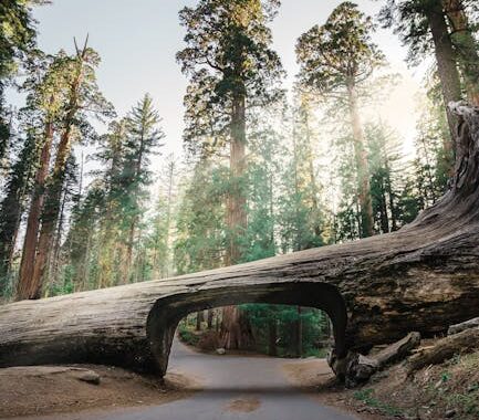Traveller’s Rest: Finding Your Perfect Oasis on the Road