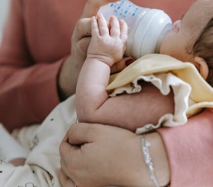 A Baby Reindeer Parents’ Guide: Nurturing the Next Generation of Caribou