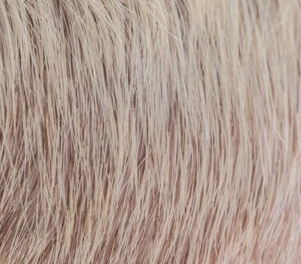 The Ultimate Guide to Hairstyles for Fine Blonde Hair